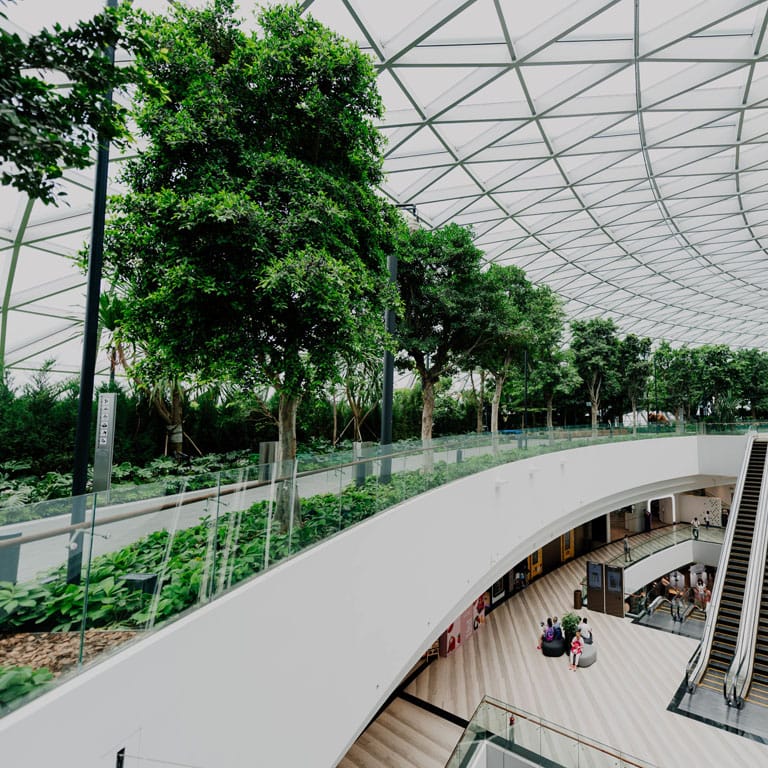 Driving Sustainability